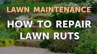 How to Repair Lawn Ruts