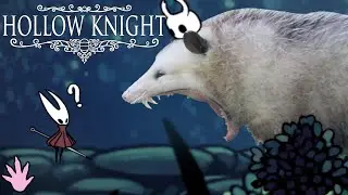 Strings and Stings | Hollow Knight [Hornet]