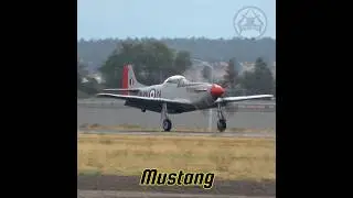 Nothing to See Here... Just a P-51 Mustang WWII Fighter Making a Butter Landing #aviation #warbirds