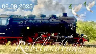 Harz 💞 Rübelandbahn Fahrt 