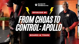 This German Shepherd Puppy Has Zero Leash Control&hellip; | Board & Train Episode 1