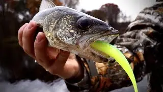 Onieda Lake Walleye Fishing (Catch N Cook)