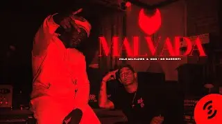 5. Pel&eacute; Milflows e Nog - Malvada (Go dassisti)