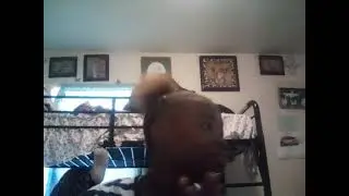 I was banned from my tiktok account