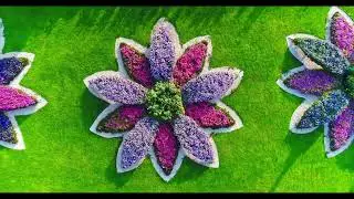 Miracle garden - Drone/Aerial View - Sample Video