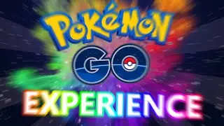 THE POKEMON GO EXPERIENCE