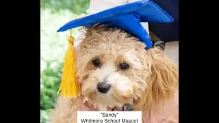 NH Children's Scholarship Pays Your Whitmore School Tuition!