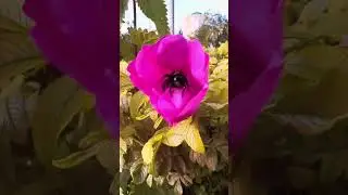 🌿 Памятник окружён цветами, и каждый прохожий может остановиться, чтобы вспомнить: это не просто