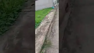 VID 20260116 160000 217 1