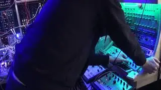Elements into sherman filter & Nebulae V2 into Steiner filters