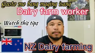Gusto mo bang maging isang Dairy farm worker sa New Zealand watch this tips.
