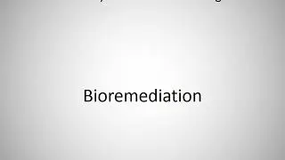 How to say Bioremediation in English?