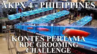 PERTAMA KALINYA ADA RDC GROOMING CHALENGE DI KONTES ARWANA KEEPERS PHILIPINES 4 - ARWANANYA SADIS !