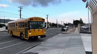 Bus 321 in Rialto