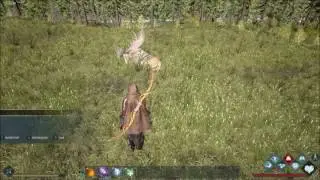 Dark and Light - Stag sleeping bug