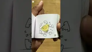 Chicken Life Cycle - Flip Book #flipbook #animation