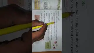 THE PLANT KINGDOM CLASS 4TH CHAPTER 6 PART 2