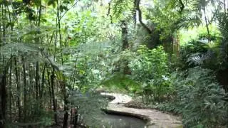 Marsh Garden Introduction