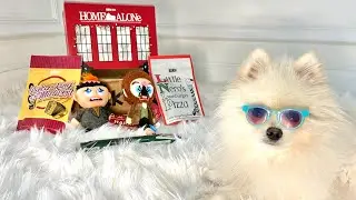 Home Alone BarkBox for my Pomeranian Bonji