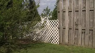 south county fence dispute