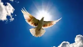 Sunshine   Musicshake