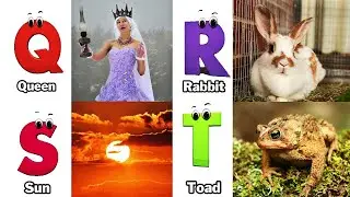 ABC song | Alphabet Song for Kids | Fun Learning Video | Koko Study Class 2026