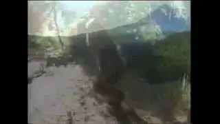 BIGFOOT 2016 - Trail Cam Pictures (Oregon)