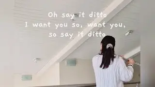 Ditto 플루트 커버🤍
