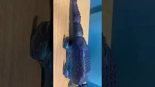 My lego customs mosasaurus