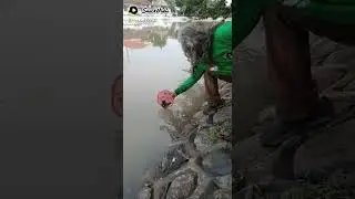 lestari alamku