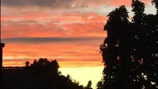 Beautiful sunset 🌆   #shorts