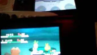 2 Shinies in 24 Hours! Shiny Petilil Appears in Pinwheel Forest!