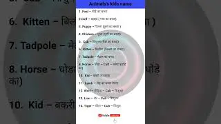 Animals's kids name words #vocabulary #vocabs #shorts #study #meaning #subscribe
