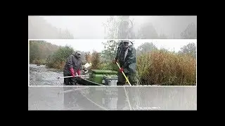 Elektrofischerei: Nordsee unter Strom