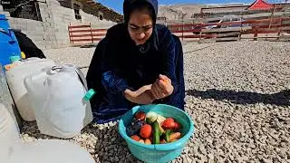 Nomadic Life: The Exciting Challenges and Decisions of the Kamar Family