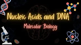 Nucleic acids and DNA - الاحماض النووية والدنا - MOLECULAR BIOLOGY - تعلم بالعربي