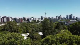 Auckland Domain City Skyline - 4k