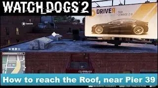 Watch Dogs 2 - How to reach the roof near Pier 39, to meet Sitara [Paint Job]