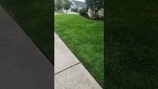 #vancouverwashington #paverinstallation #sod #grass