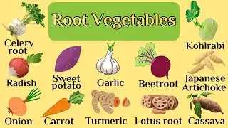 Root Vegetables Name in English | Root Vegetables Vocabulary | Vegetables Name for Kids