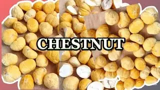 CUTTING CHESTNUT