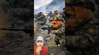 Puppy Became a Martyr While Protecting the Country 🇮🇳🐶 #shorts #explore #aishorts #puppy