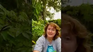A Mission Moment -- Sharon Dunaway- Alt