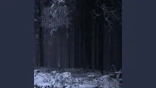 Black Clouds Gather