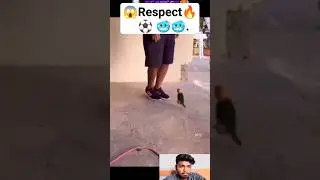 Respect new skills video #respect #youtubeshorts #viral #shortsvideo