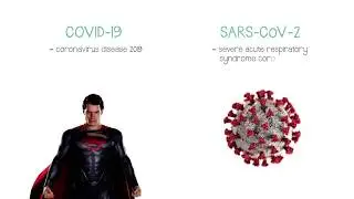 COVID 19 Coronavirus, an introduction by courtesy of Hippomedics