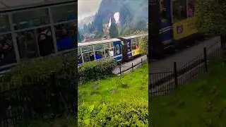 beautiful nature🏞️ #steemengine#shorts #dargeeling #trainjourney #music