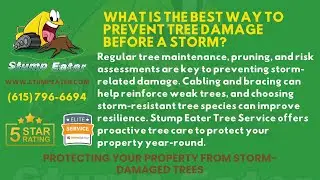 WHAT IS THE BEST WAY TO PREVENT TREE DAMAGE BEFORE A STORM?