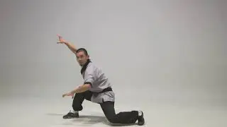Shaolin : Tiger Fist