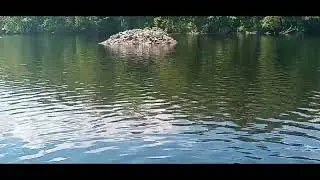 Mysteries of the Abandoned Upper Hudson River